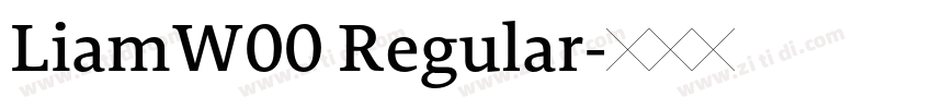 LiamW00 Regular字体转换